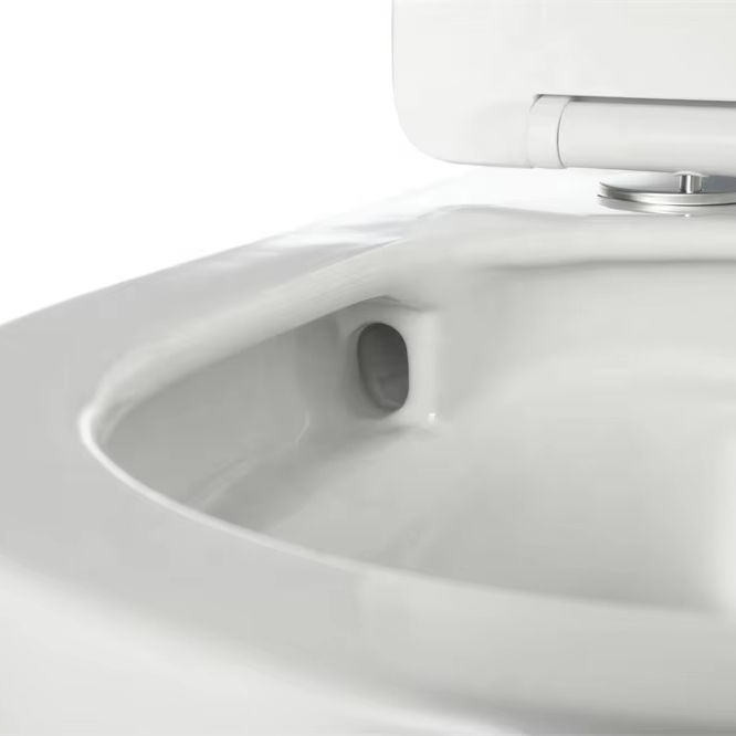 Super Swirl Wall Hung Toilet