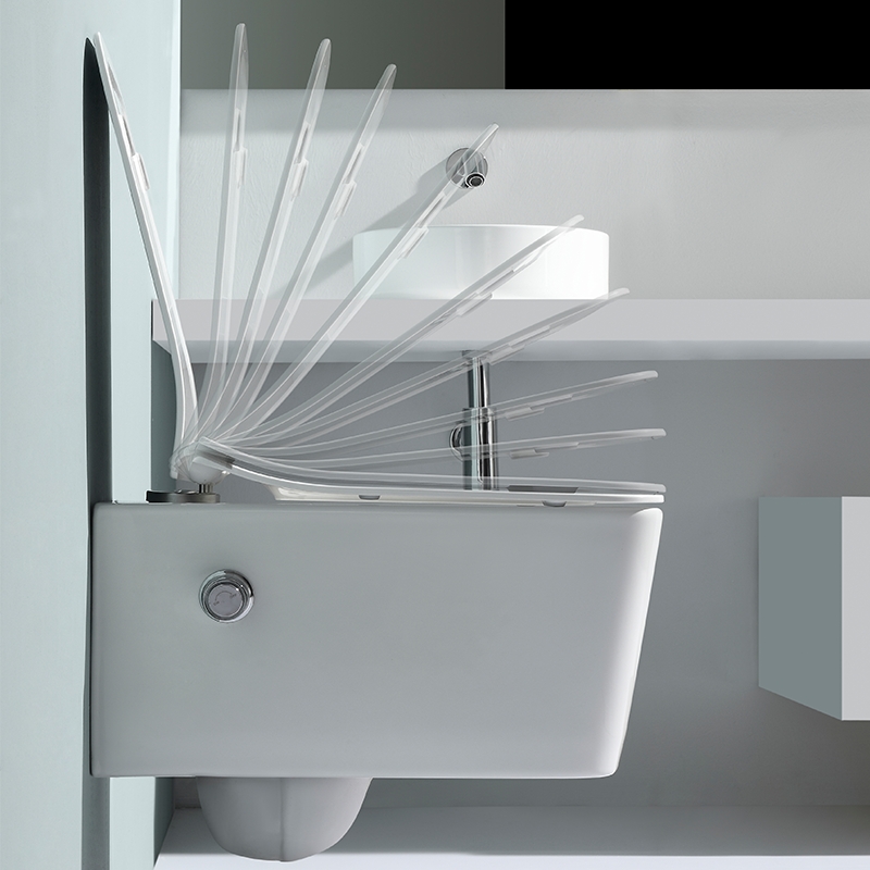 Modern Rimless Wall Hung Toilet Ceramic Floating WC Dual Flush Soft Close Seat