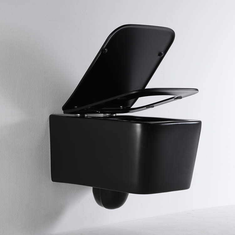 Modern Rimless Wall Hung Toilet Ceramic Floating WC Dual Flush Soft Close Seat