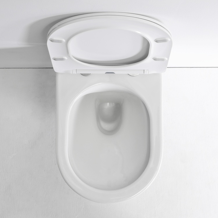 2442D Wall Hung Toilet - Modern Space-Saving Ceramic WC