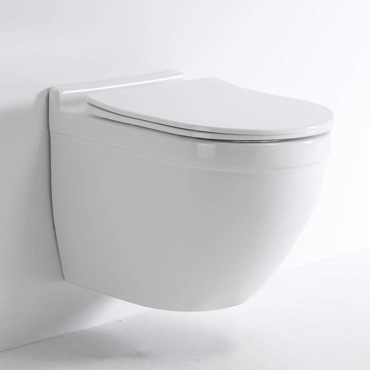 Rimless Wall Hung Toilet Ceramic WC 520mm Nano Coating Dual Flush Washdown