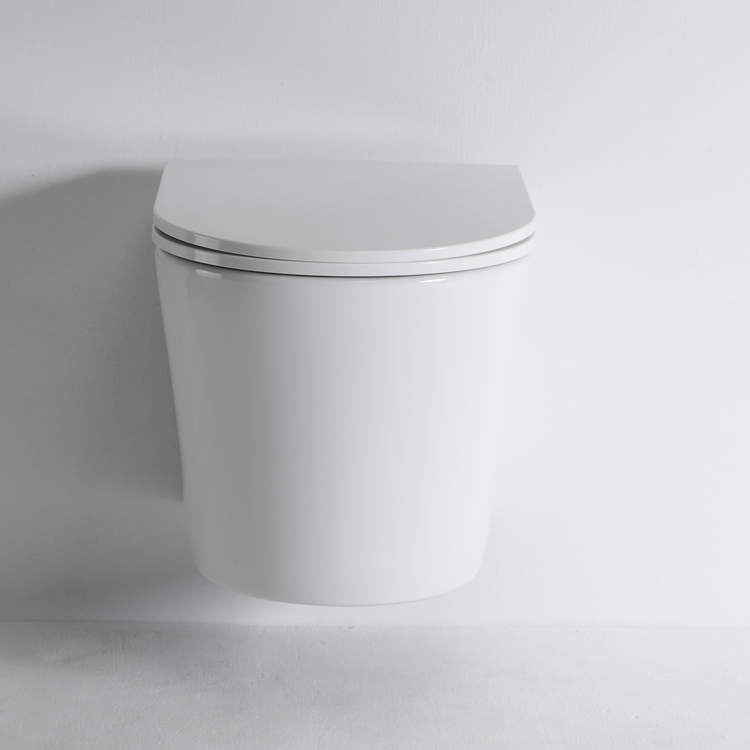 Modern Rimless Wall Hung Toilet Ceramic WC Dual Flush 520x355x365mm Bathroom