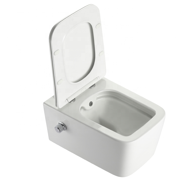 Modern Rimless Wall Hung Toilet Ceramic Floating WC Dual Flush Soft Close Seat