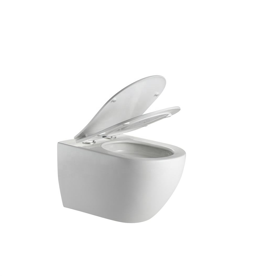 Super Swirl Wall Hung Toilet