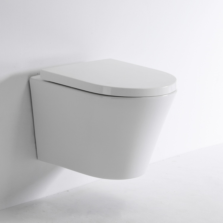 Modern Vortex Wall-Hung Toilet – Rimless Washdown Dual Flush
