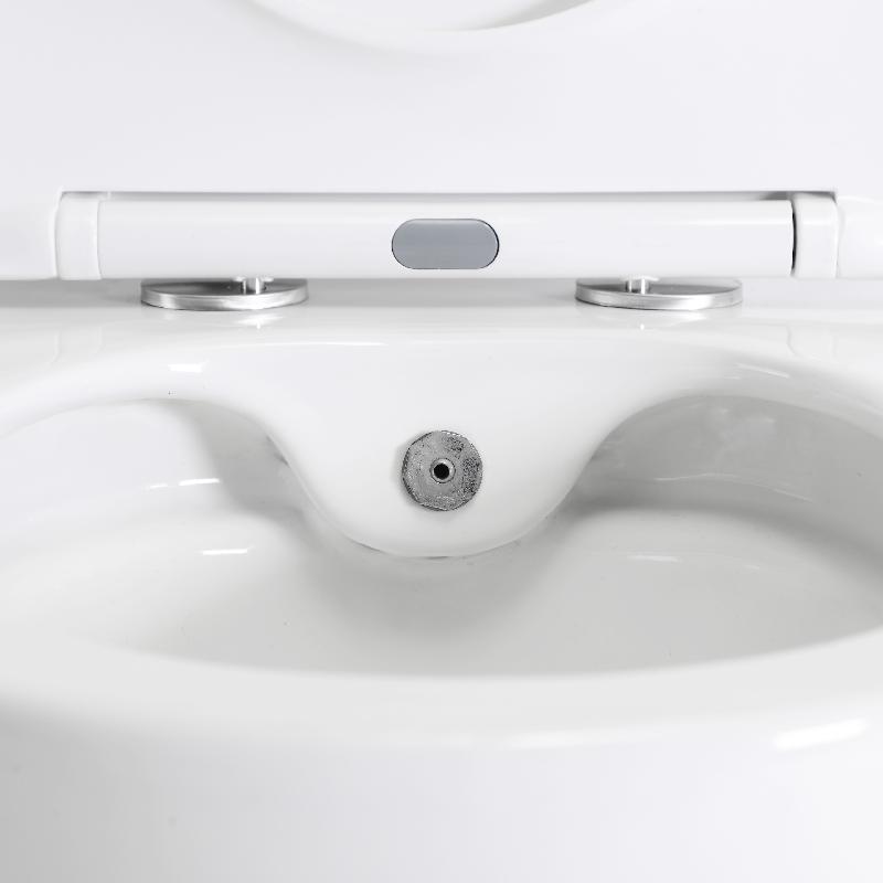 BF2468D-BD Wall-Hung Smart Toilet with Bidet | Rimless Quiet Flush | Space-Saving Design