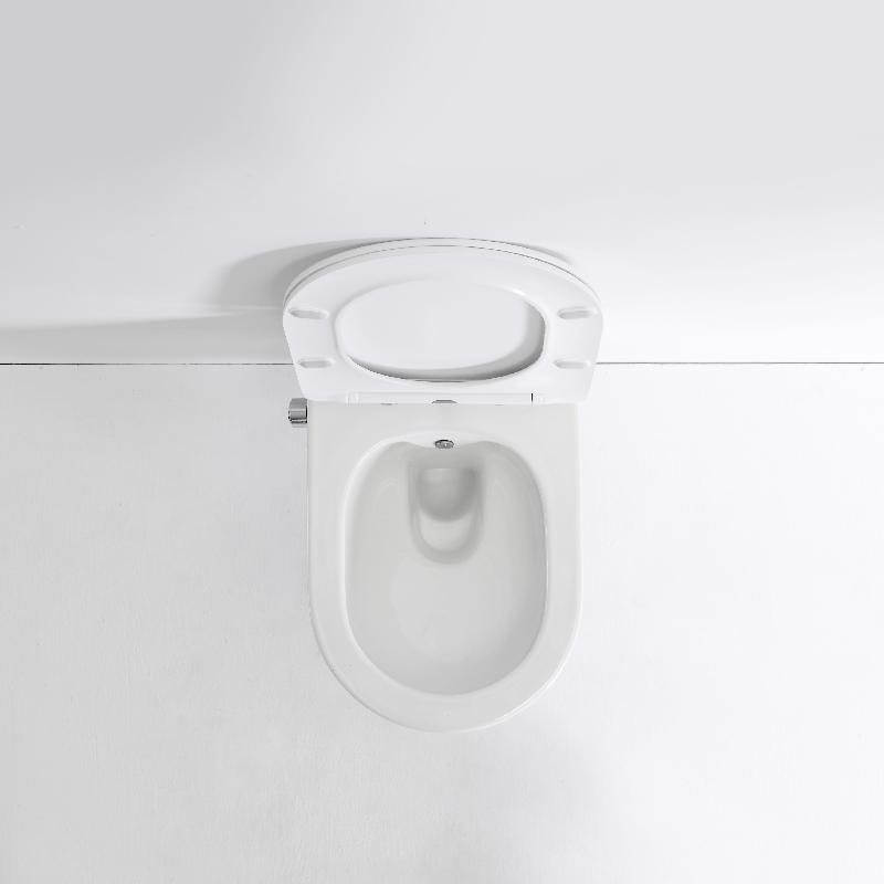 Vaso Sanitário Suspenso com Bidê 2468D-BD - Design Moderno e Econômico
