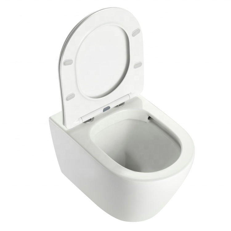 Hangend Toilet BF2476D – Modern Ontwerp, Krachtige Spoeling, Waterbesparend, Compact