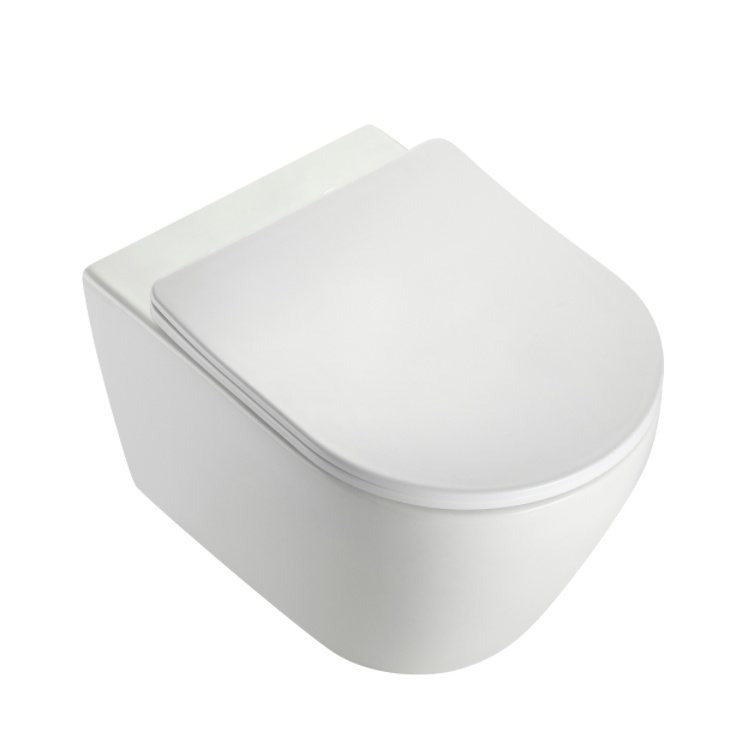 Hangend Toilet BF2476D – Modern Ontwerp, Krachtige Spoeling, Waterbesparend, Compact