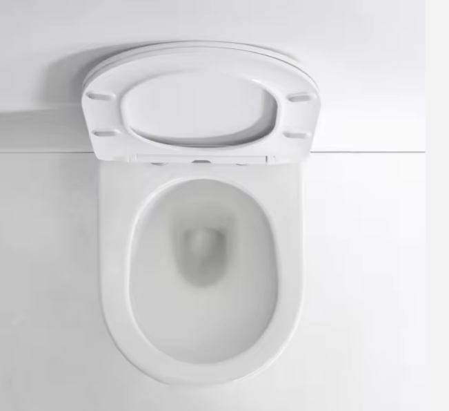 BF2418 WC Sospeso Tondo – Design Moderno, Chiusura Ammortizzata, Risparmio Idrico