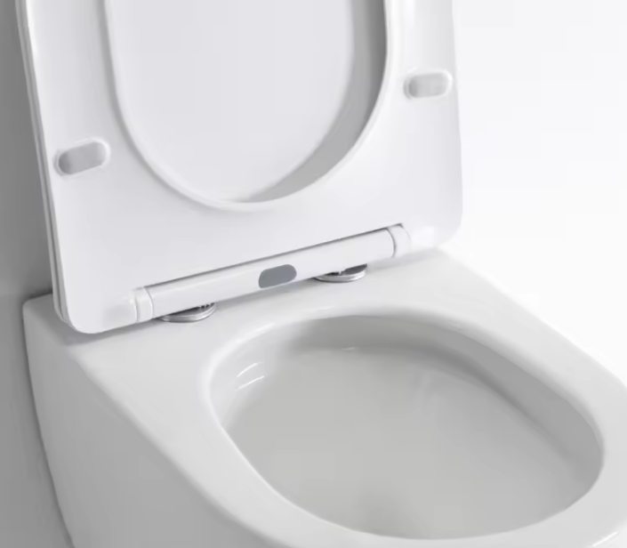 BF2418 WC Sospeso Tondo – Design Moderno, Chiusura Ammortizzata, Risparmio Idrico