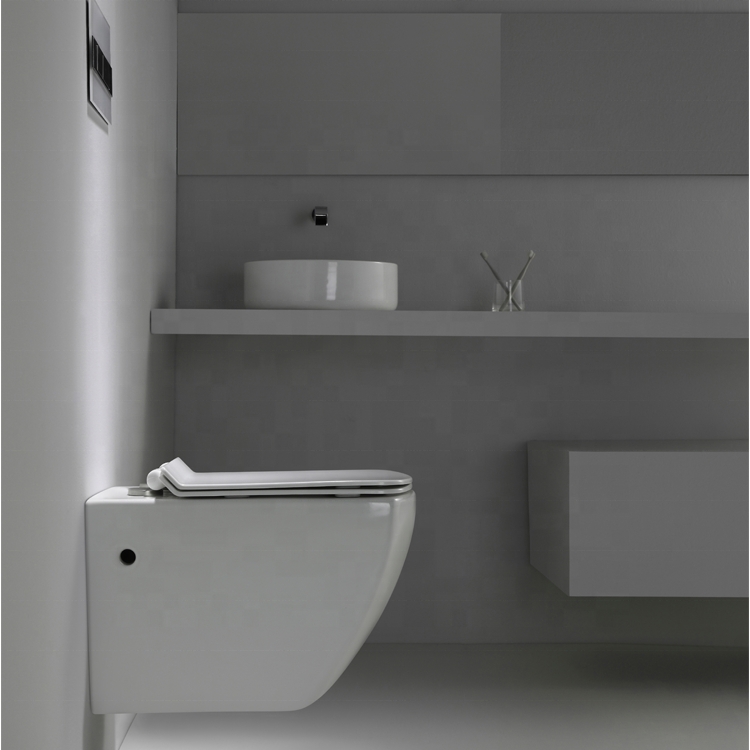 Wall-Hung Toilet Model BF2496