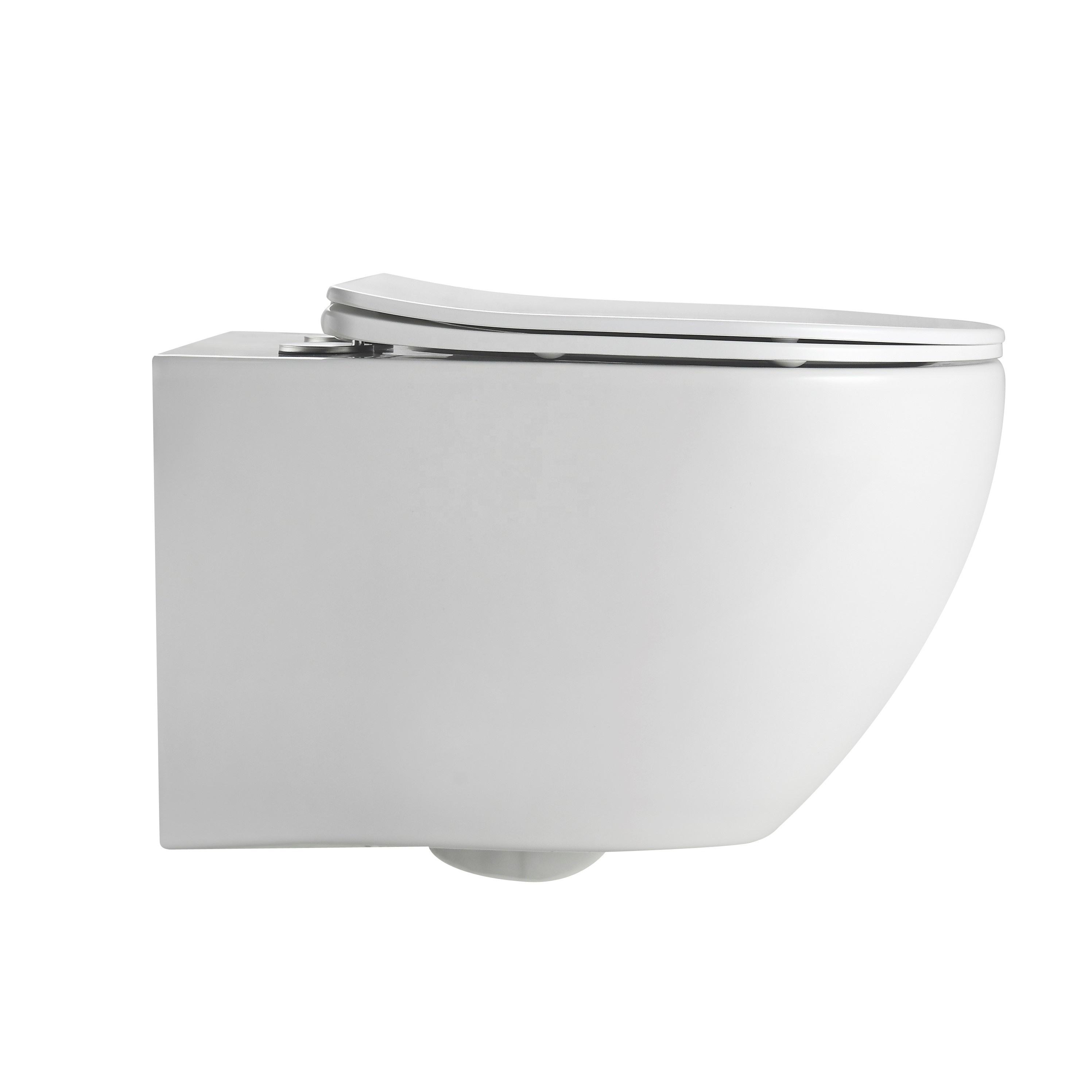 Reverse Rotational Flushing Toilet