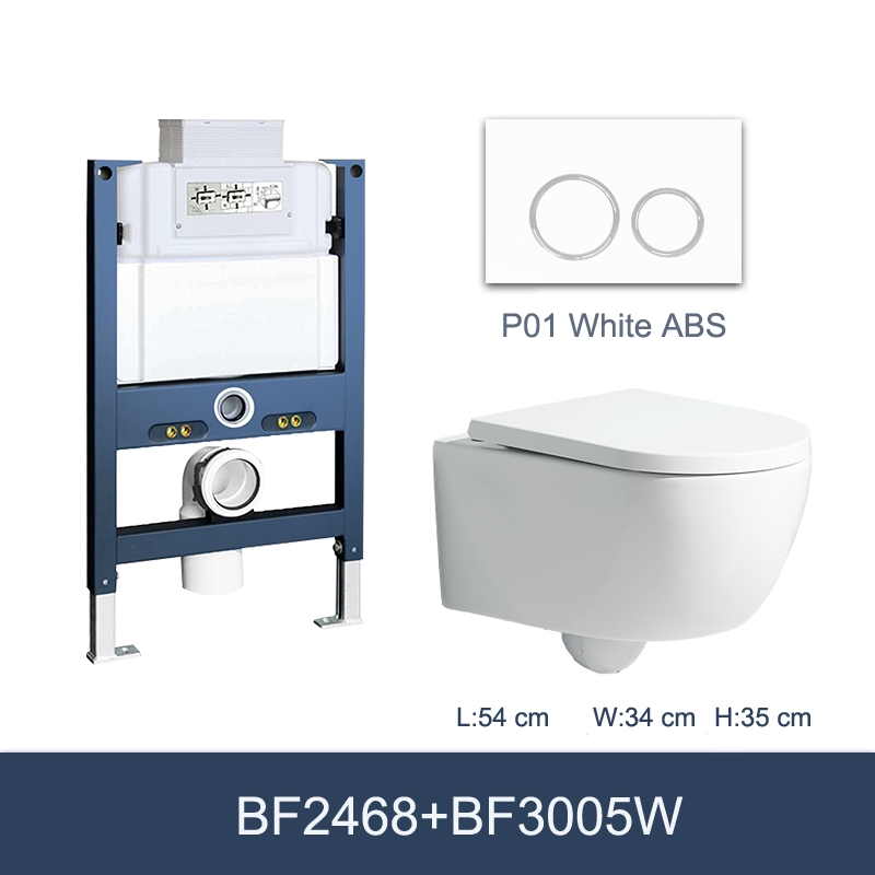 Contemporary Rimless Wall Hung Toilet Ceramic Floating WC Nano Coating Washdown