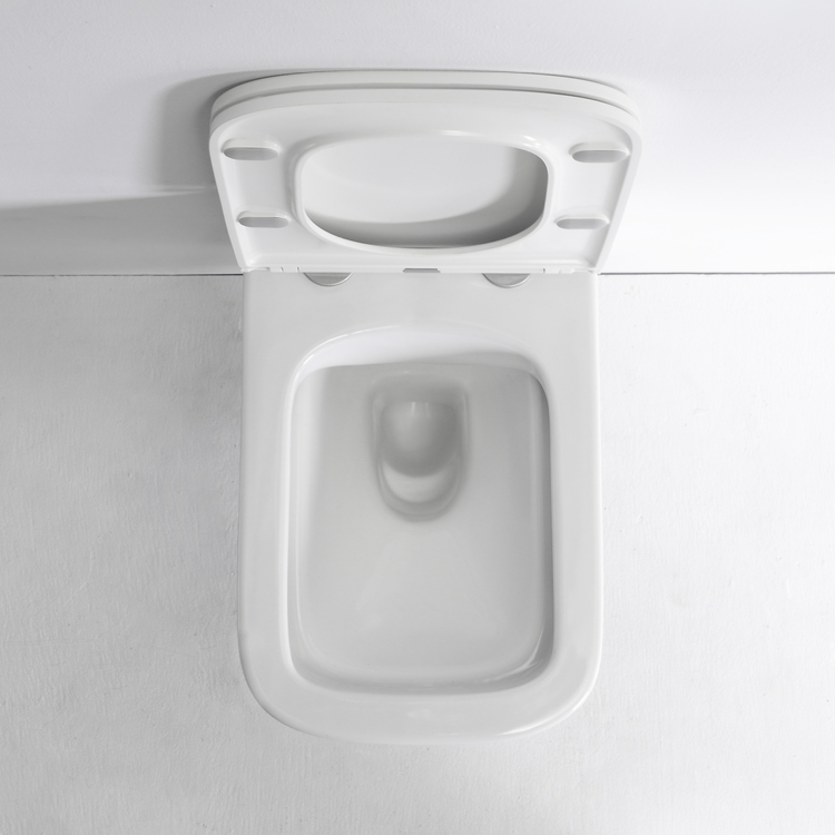 BF2440D Rimless Wall Hung Toilet 520mm Ceramic Washdown WC with UF Seat