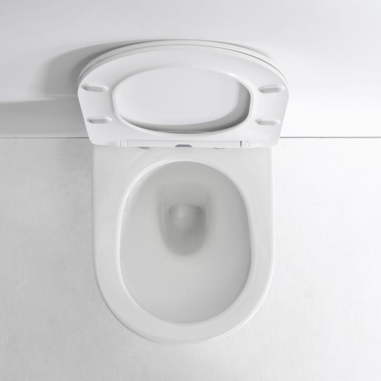 Super Swirl Back-to-Wall Toilet