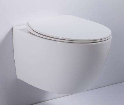 Back to Wall Toilet 530mm Rimless Ceramic WC Soft Close Seat Dual Flush Washdown
