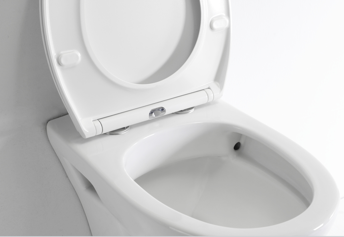 BF2420D Wall-Hung Ceramic Toilet with Soft-Close UF Seat