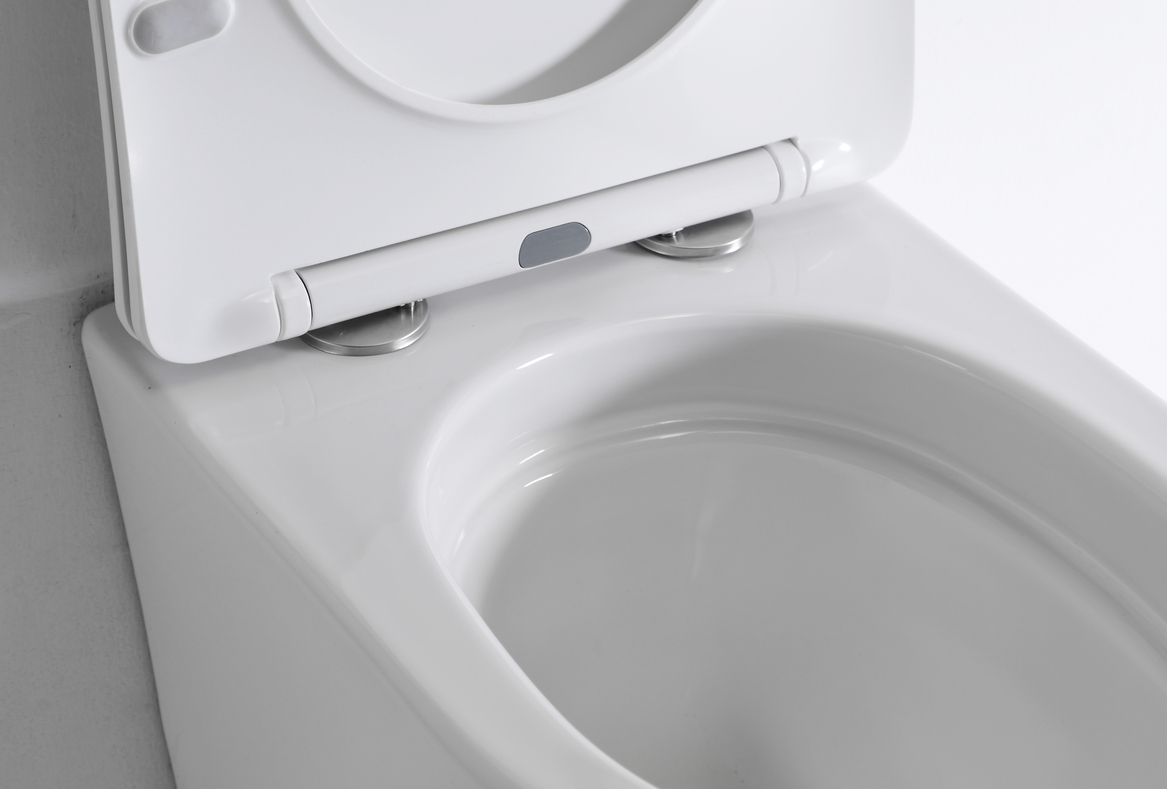 Modern Wall Hung Vortex Flushing Toilet Ceramic Bathroom WC BF2419
