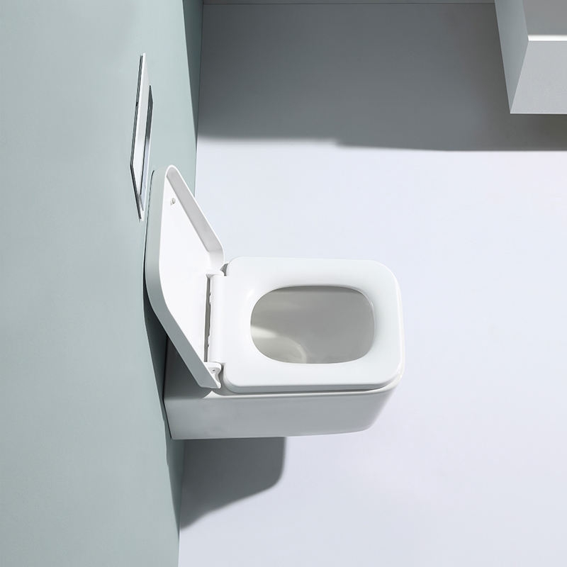 BF2467-BD Wall Hung Bidet Toilet Rimless Ceramic Toilet with Soft Close UF Seat