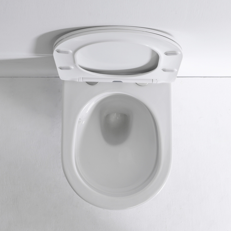 Modern Wall Hung Vortex Flushing Toilet Ceramic Bathroom WC BF2419