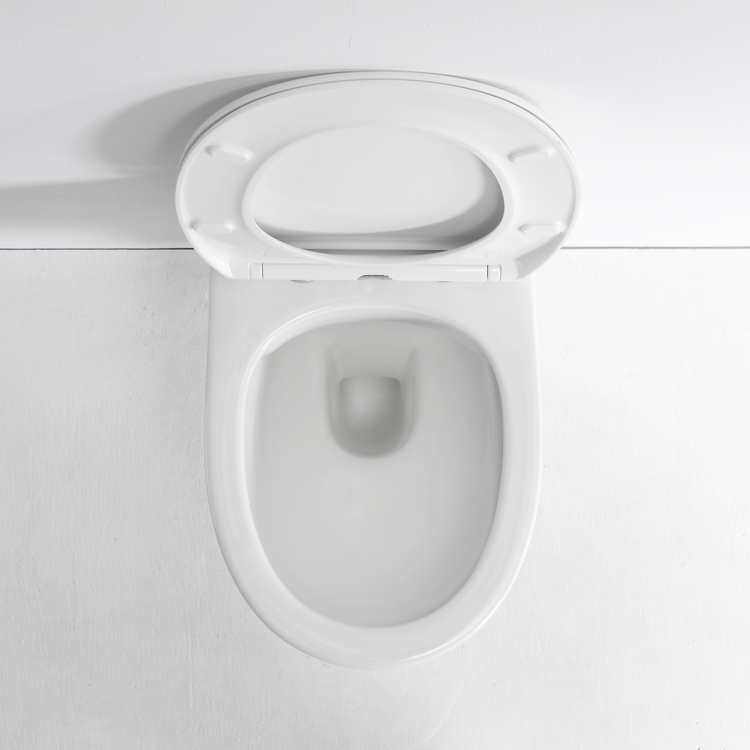 BF2420D Wall-Hung Ceramic Toilet with Soft-Close UF Seat