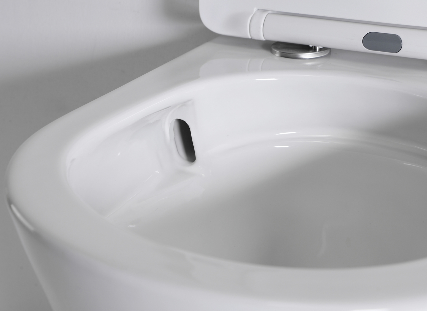 New Flow Flushing Toilet