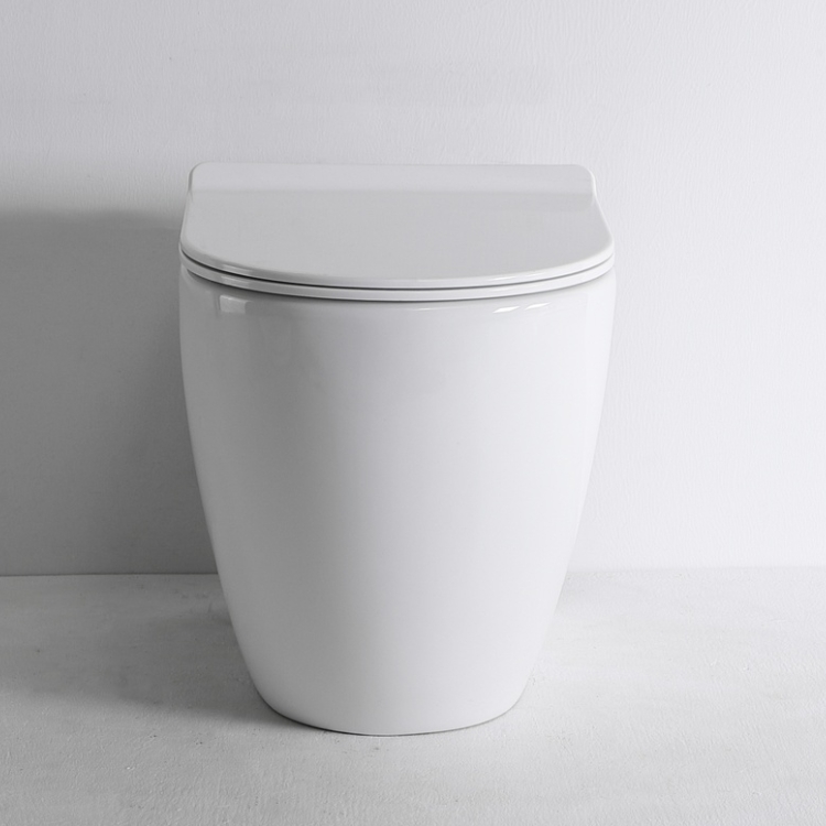 BF2518 Back to Wall Toilet - Rimless Washdown Soft Close UF
