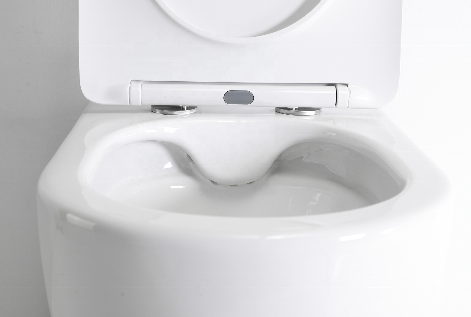 BF2518 Back to Wall Toilet - Rimless Washdown Soft Close UF