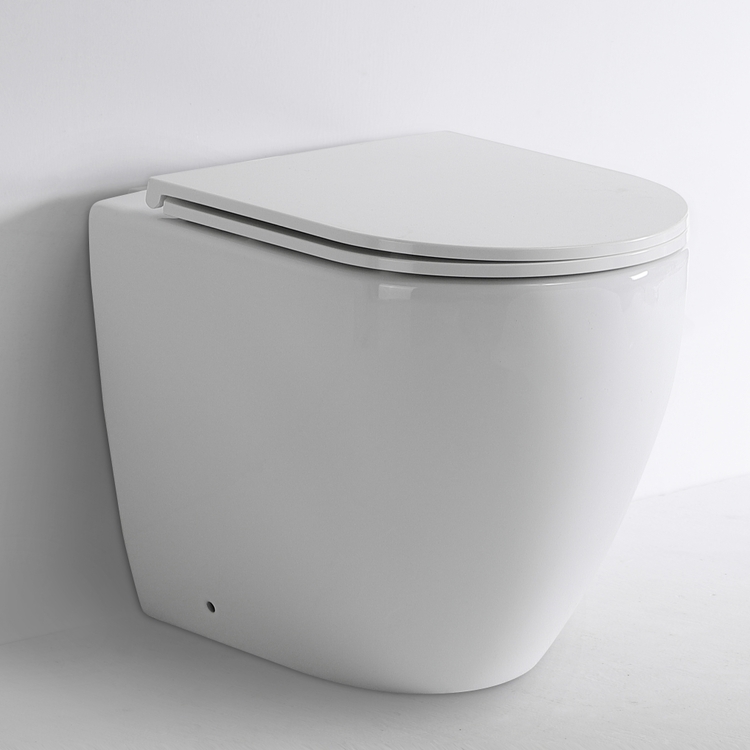 BF2518 Back to Wall Toilet - Rimless Washdown Soft Close UF