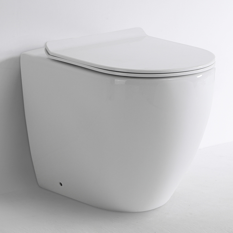 BF2518 Back to Wall Toilet - Rimless Washdown Soft Close UF
