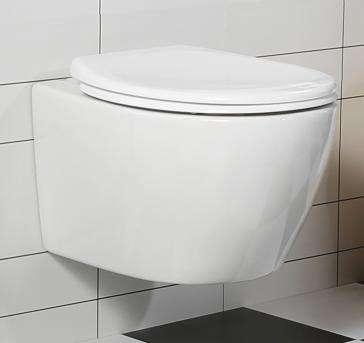 Back to Wall Toilet 530mm Rimless Ceramic WC Soft Close Seat Dual Flush Washdown