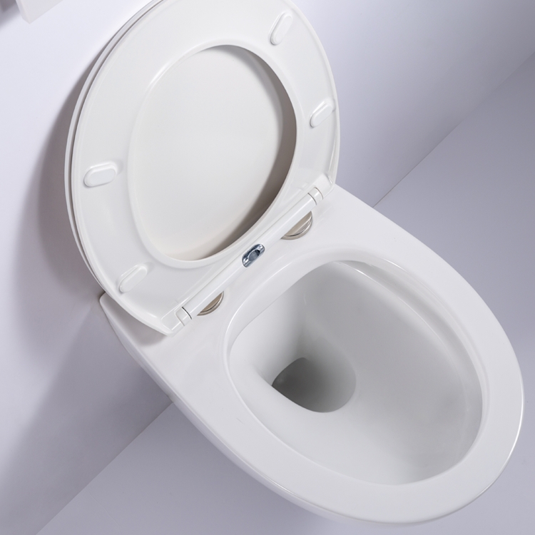 Back to Wall Toilet 530mm Rimless Ceramic WC Soft Close Seat Dual Flush Washdown