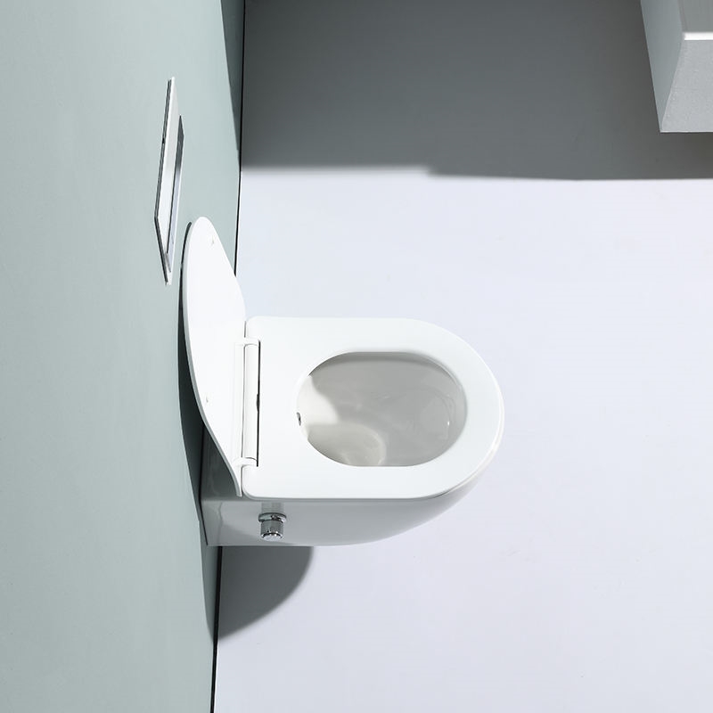 Contemporary Rimless Wall Hung Toilet Ceramic Floating WC Nano Coating Washdown