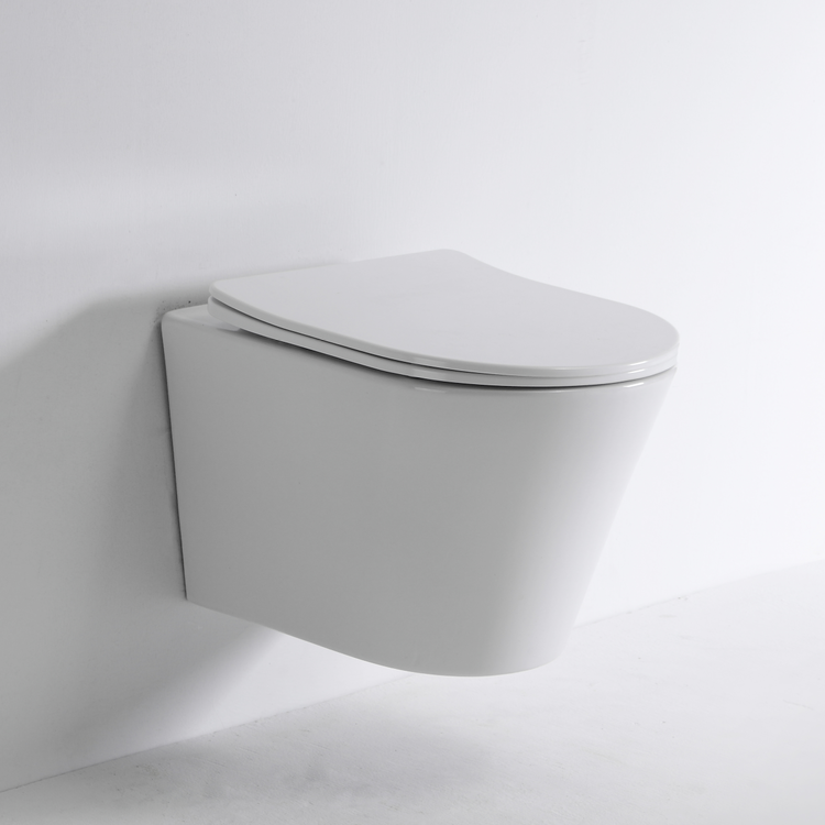 BF2419E New Vortex Wall-Hung Ceramic Toilet, Washdown, 3/4.5L, Nano Coating