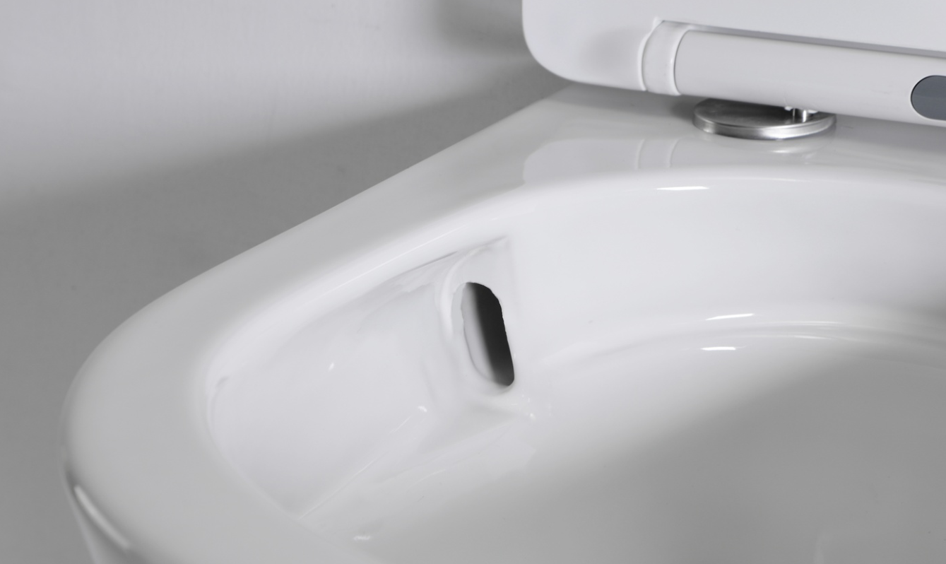Wall-Hung Toilet BF2417D with Soft-Close Seat, 4.5L Washdown Flush, CE & ROHS Certified