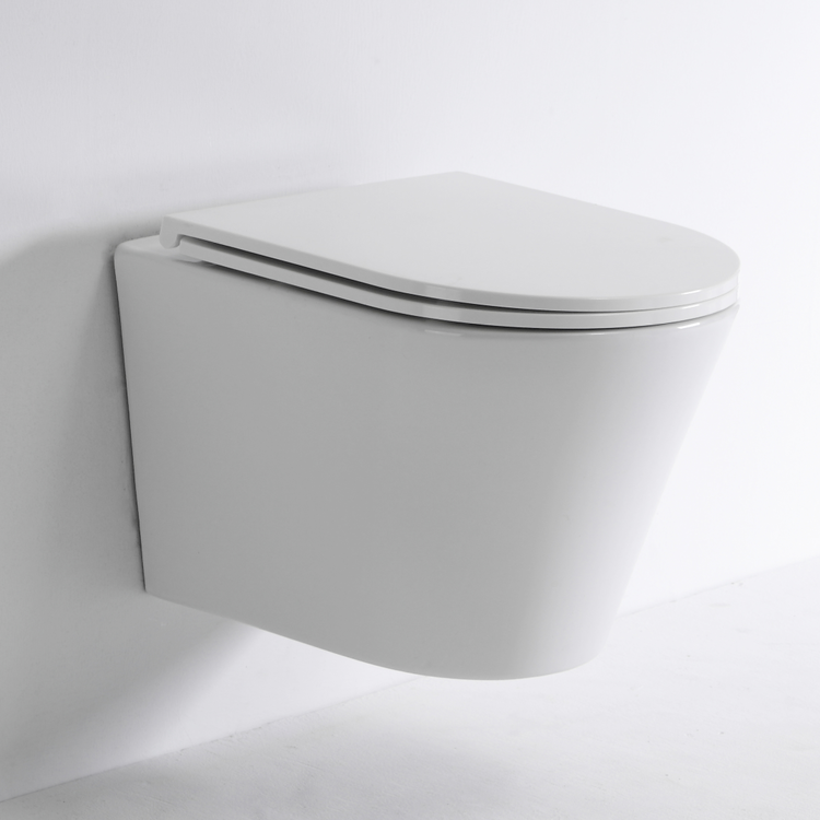 Modern Wall Mounted Ceramic Toilet - Model BF2419E