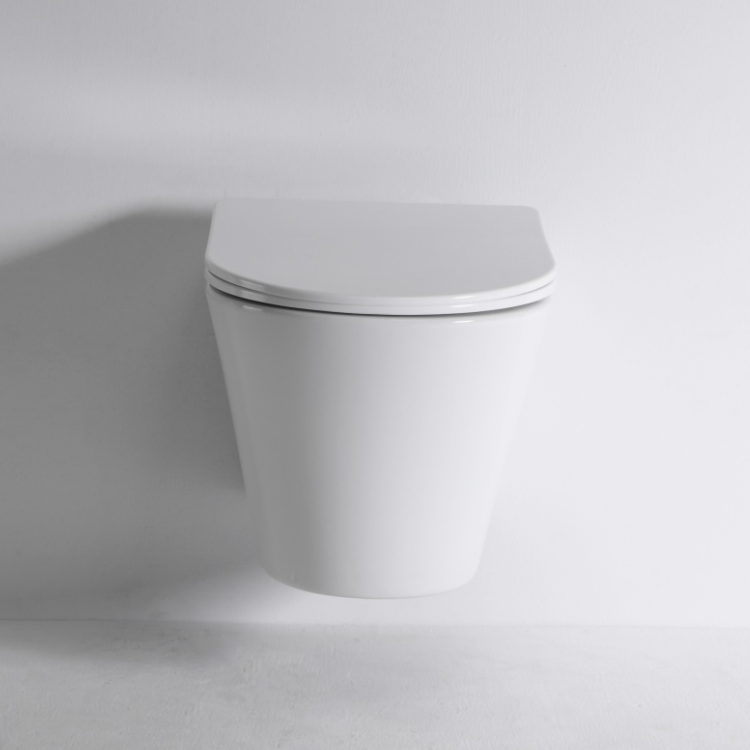 Modern Wall Mounted Ceramic Toilet - Model BF2419E