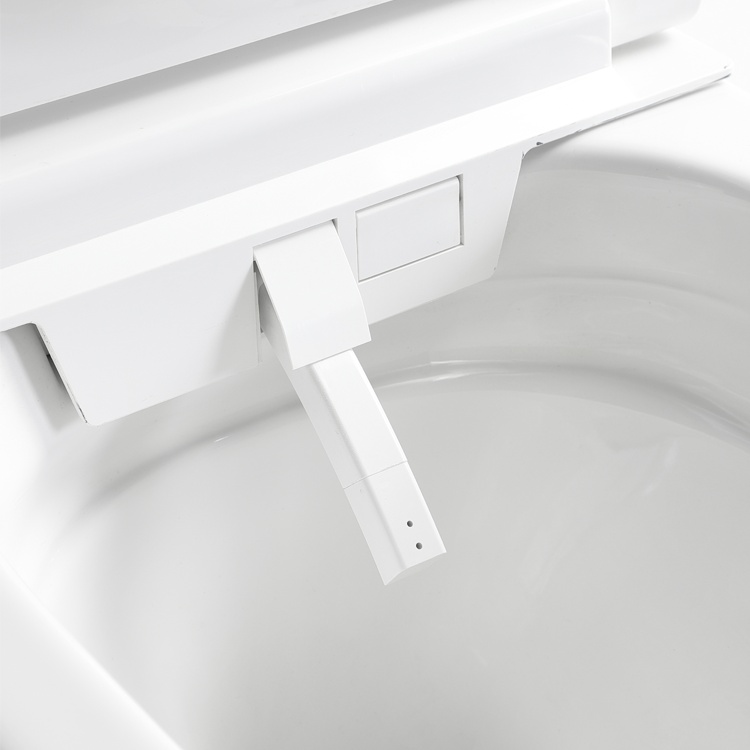 BF2499 Wall Hung Smart Toilet with Bidet Function, Rimless Design & Soft-Close Lid