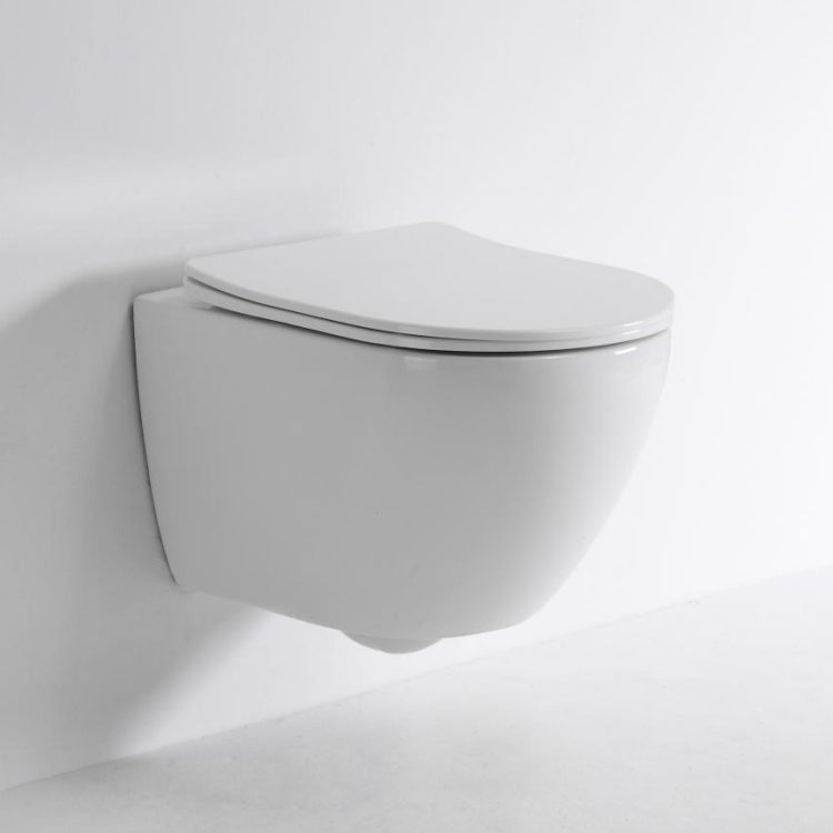 Wall-Hung Toilet – Dual Flush, Soft Close Design