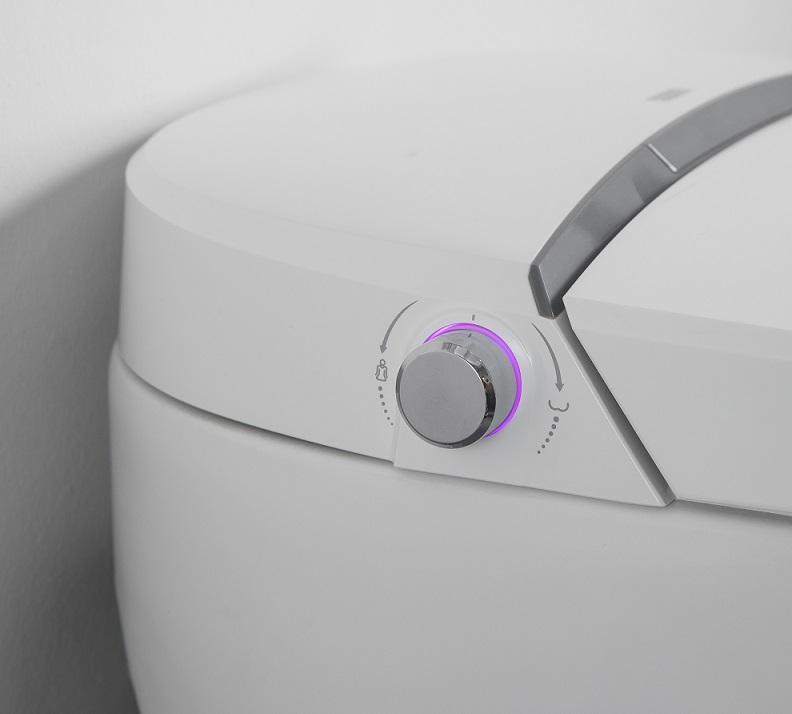 BF2961 Smart Toilet White Ceramic Siphon Jet Flush Remote Control Instant Heating Toilet