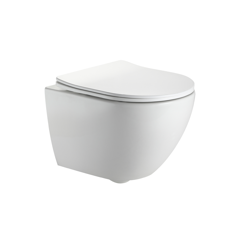 Wall-Hung Toilet – Dual Flush, Soft Close Design