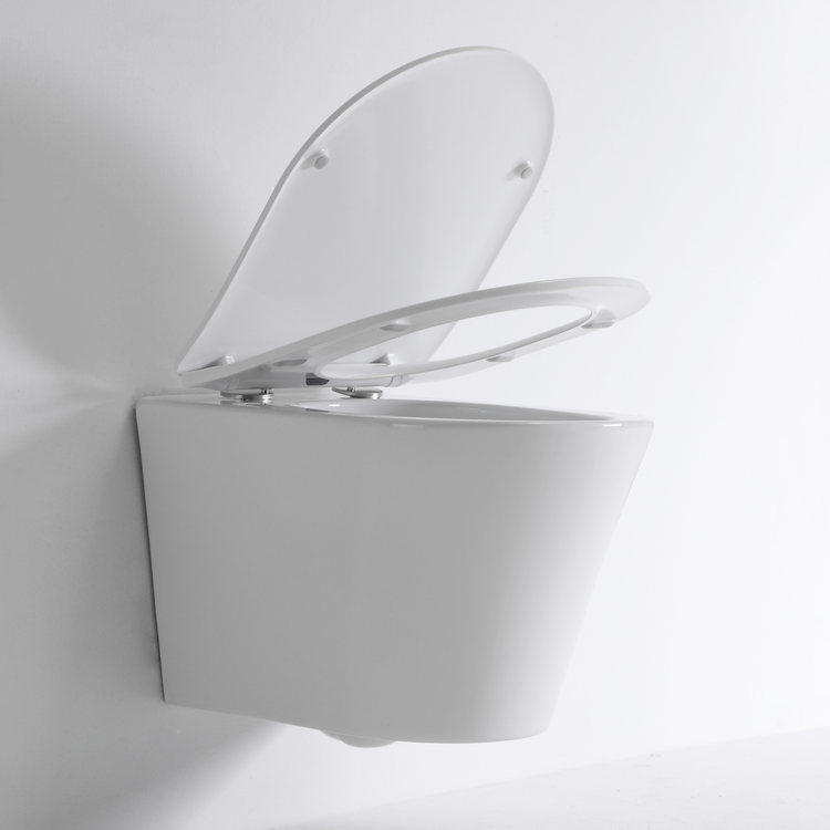 BF2419E New Vortex Wall-Hung Ceramic Toilet, Washdown, 3/4.5L, Nano Coating