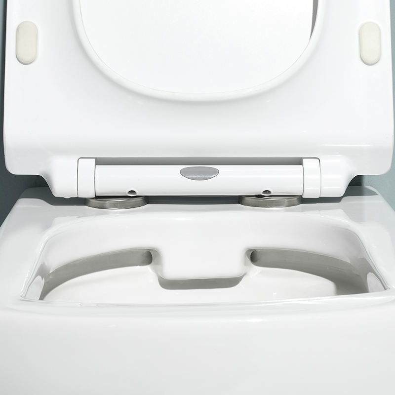Wall-Hung Toilet Model BF2496