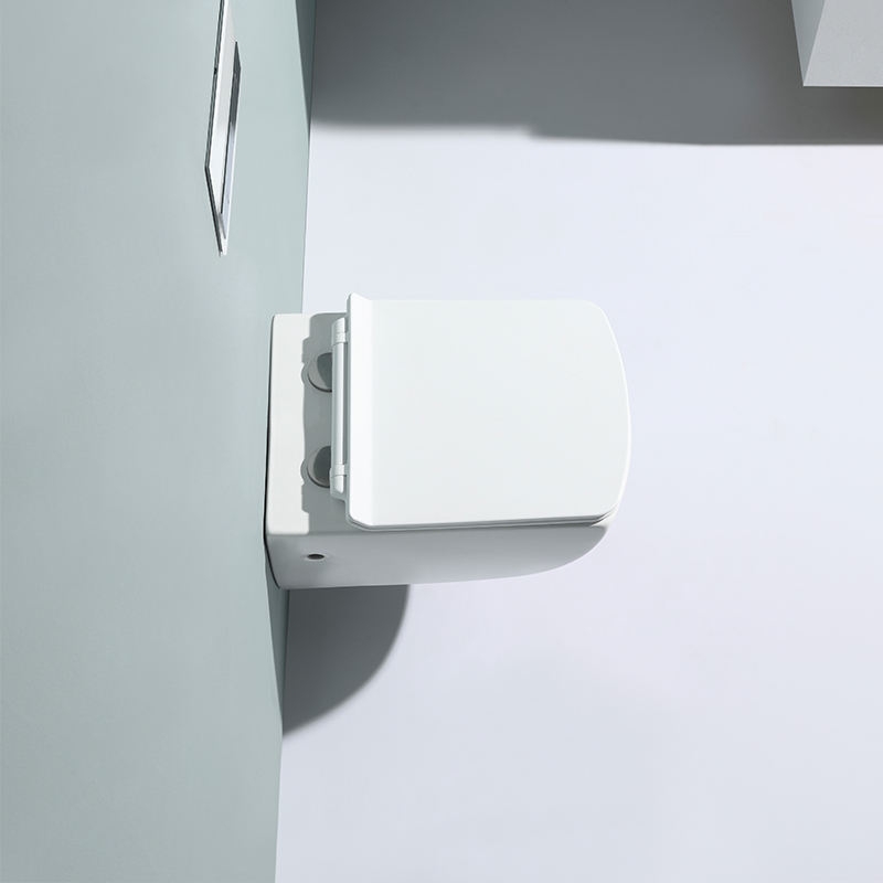 Wall-Hung Toilet Model BF2496