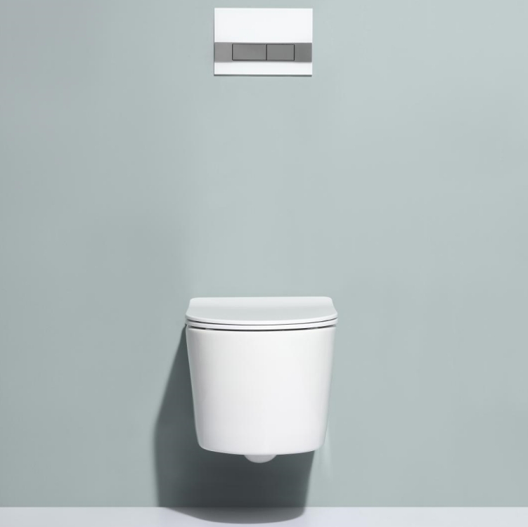 Wall Hung Toilet