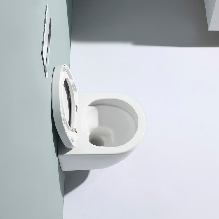 Rimless Wall Hung Toilet with Concealed Cistern BF2412 & BF3003GC Washdown Ceramic WC
