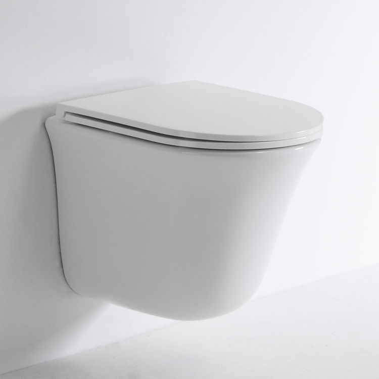 Compact Rimless Wall Hung Toilet Ceramic WC Dual Flush 470x355x365mm Modern Bathroom