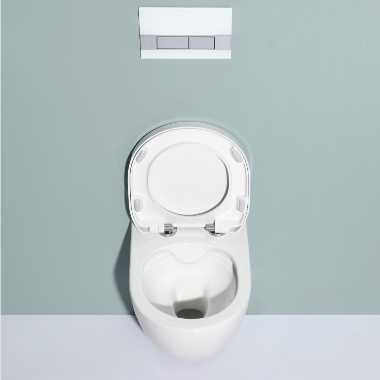 Rimless Wall Hung Toilet with Concealed Cistern BF2412 & BF3003GC Washdown Ceramic WC