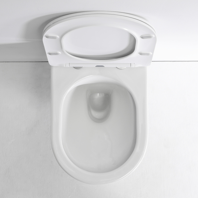 BF2442D Rimless Wall Hung Toilet 520mm Ceramic Washdown WC with Nano Coating